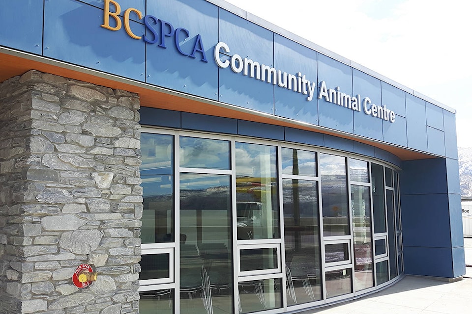 16314072_web1_BC-SPCA-Community-Animal-Centre