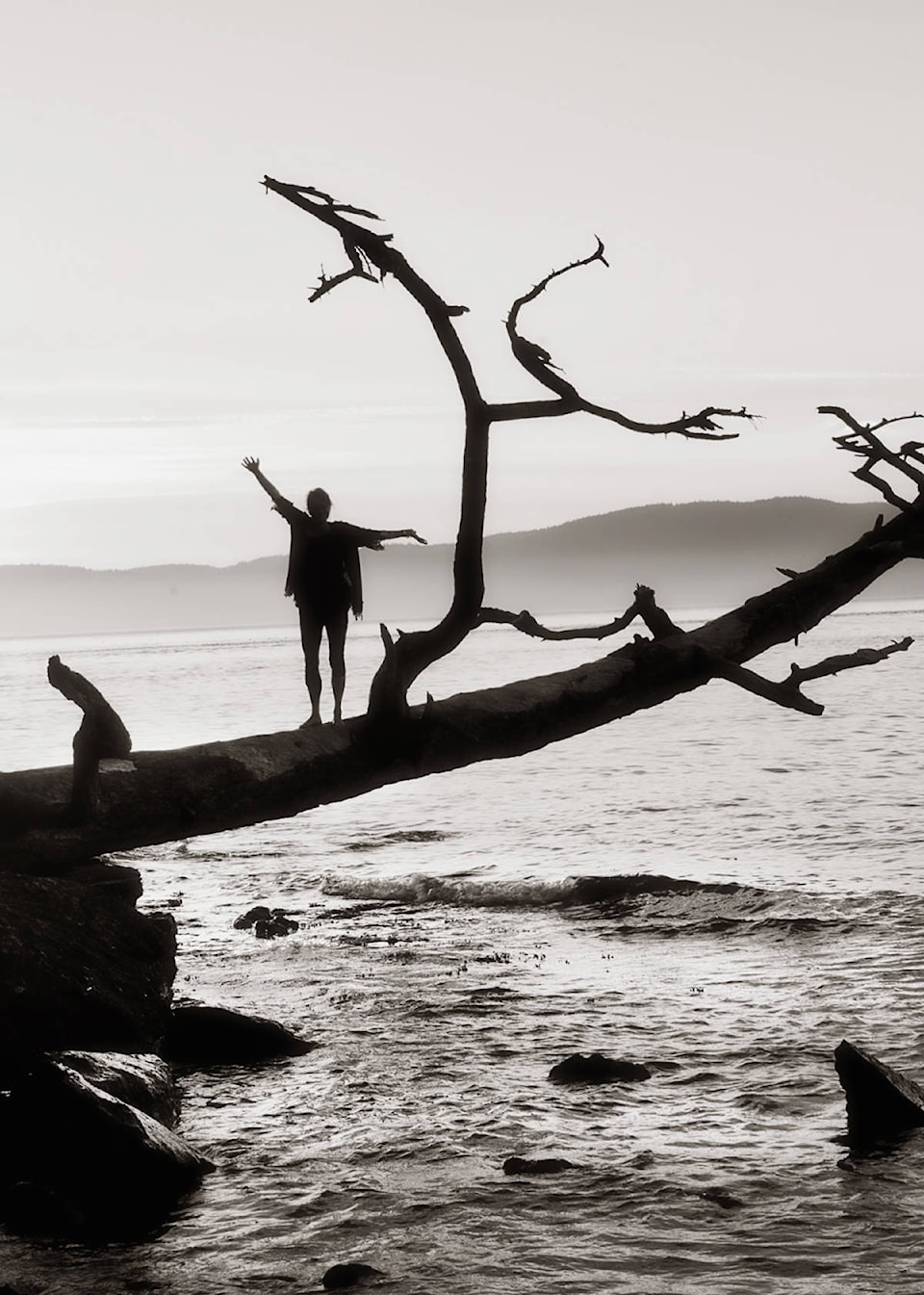 18066262_web1_Enman-Silhouette