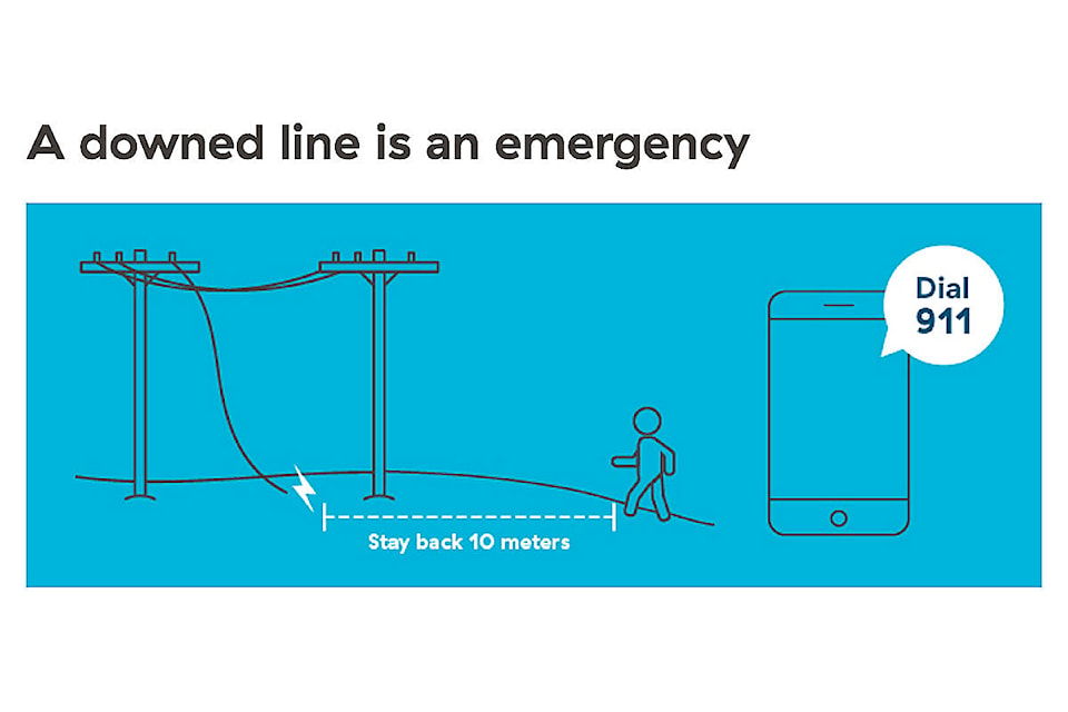 19599034_web1_BCHydro-Downed-Lines