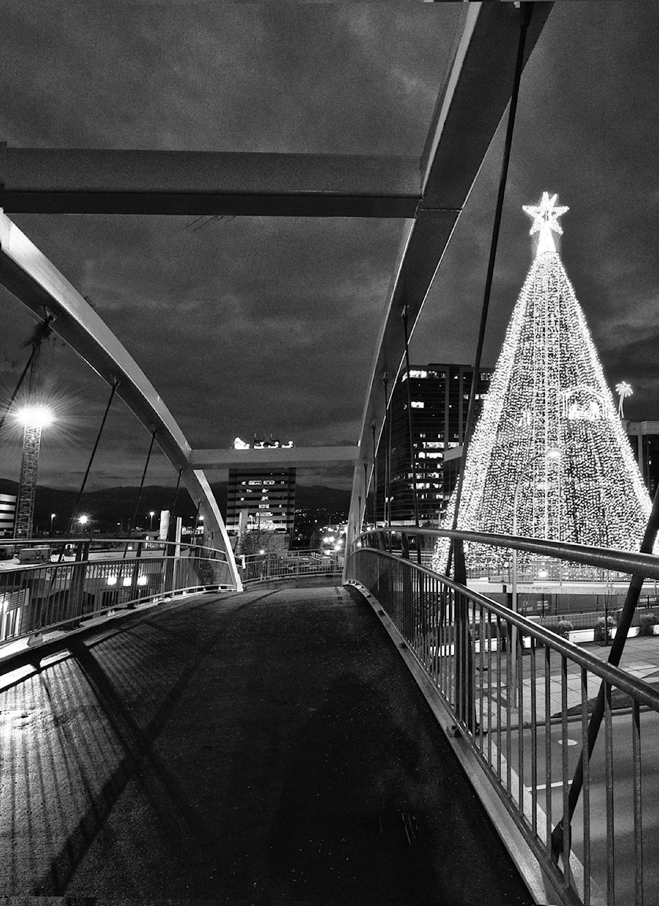 19794401_web1_Enman-Kelowna-Tree-of-Hope-2