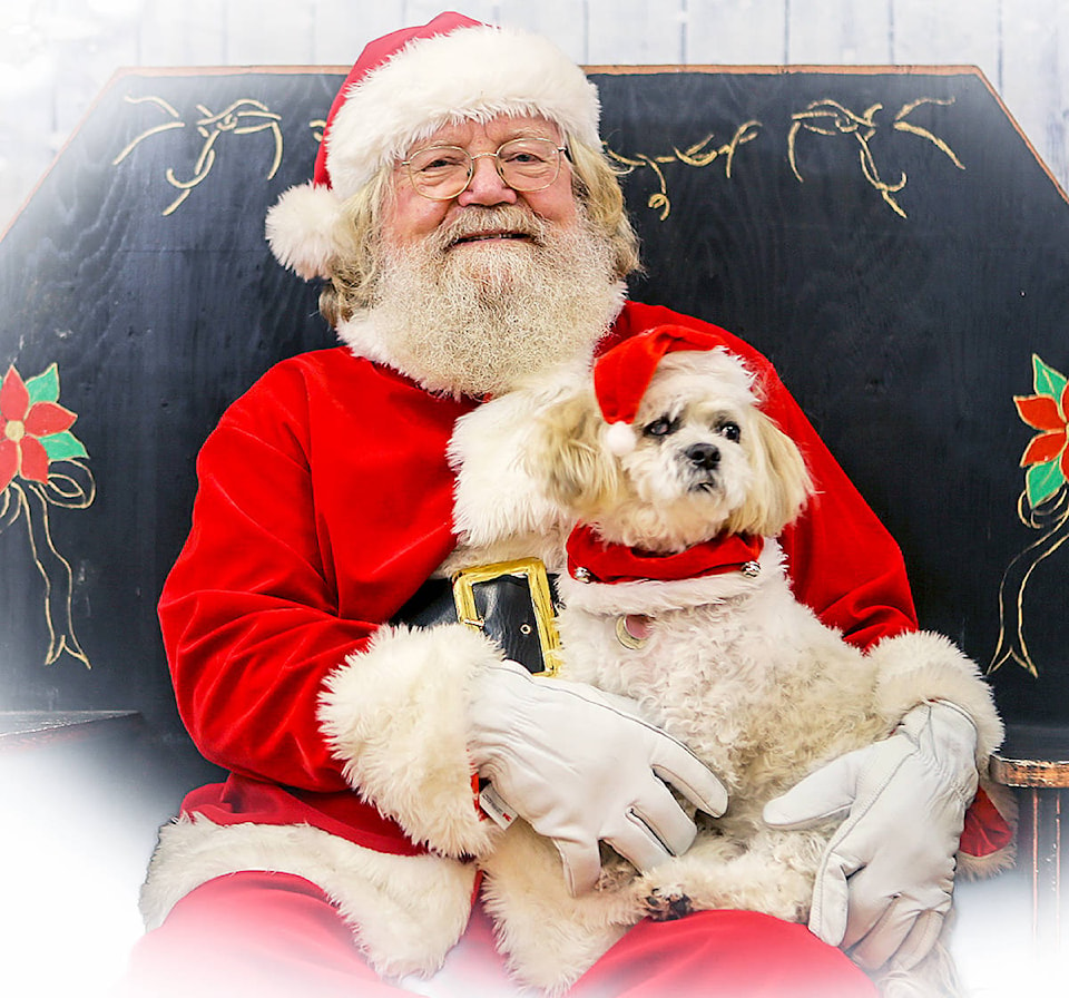 19808668_web1_Santa--Pet-Dog-Maureen-Chesterpic