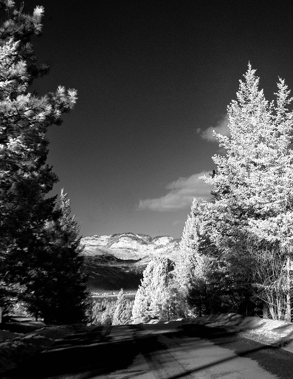 20494326_web1_200213-NTS-Enman-Photography_1