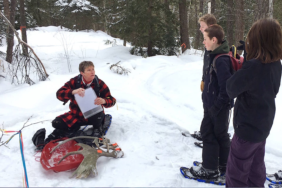 20946630_web1_copy_200319-NTS-Snowshoe-1_1