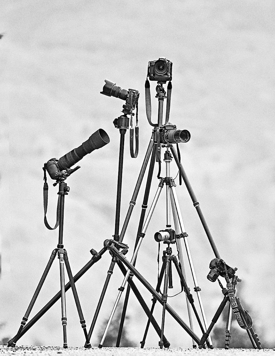 22107664_web1_200716-NTS-Enman-Tripods_2