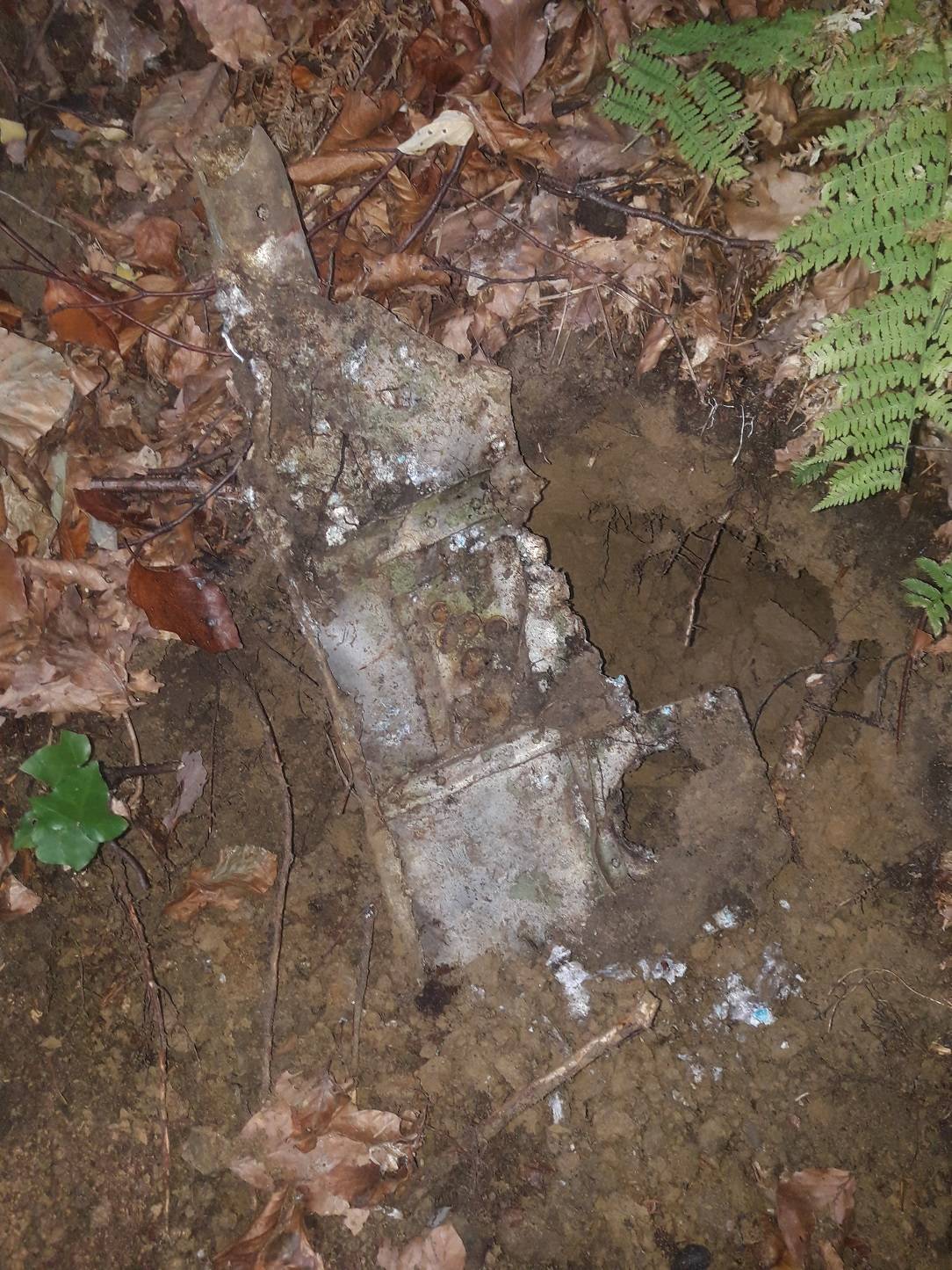 Evidence from the Wellington crash site. Photo: Submitted