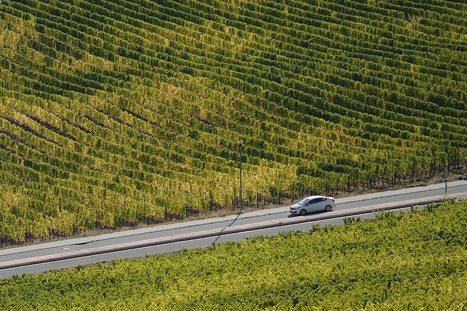 23445488_web1_web_Winery_WestKelowna_McLachlanP_StockOctober_originalangle_DSC_3540