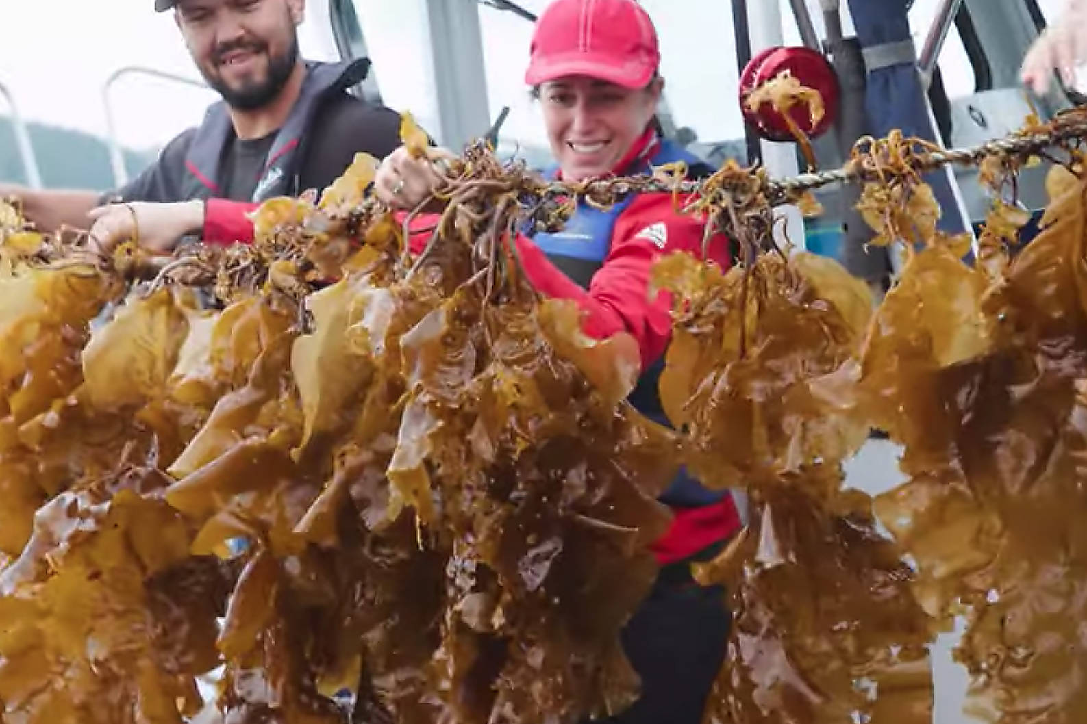 23539538_web1_201126-PRU-Exotic-BC-Seafood-Part2-seaweed_1
