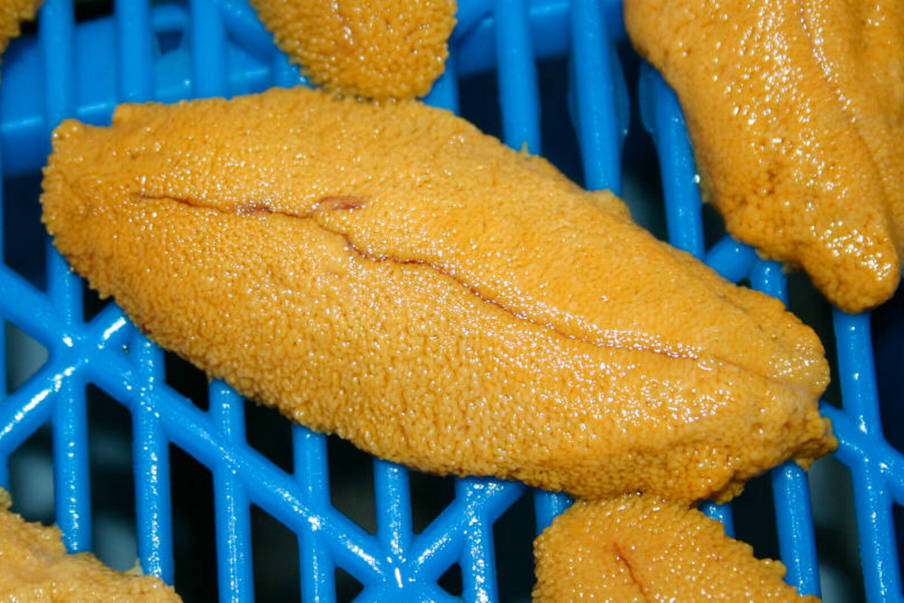 23539538_web1_201126-PRU-Exotic-BC-Seafood-urchin-roe_1