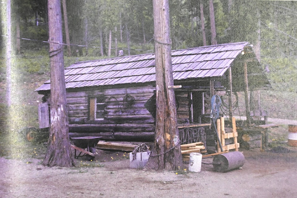 23564583_web1_201210-NTC-ValleyVoices-timber-country-bear-country_2