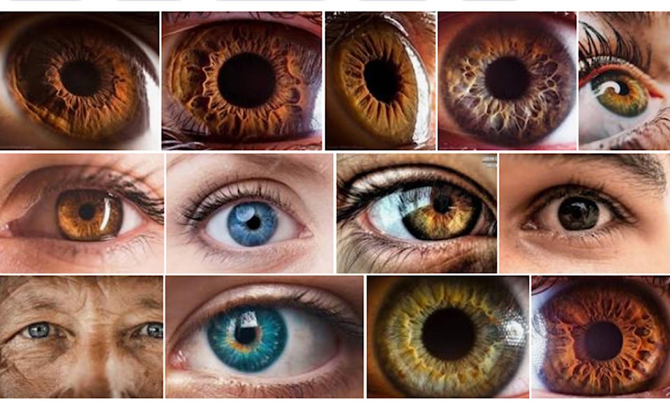 23704703_web1_201222-CDT-coulter-column-eyes-1_1