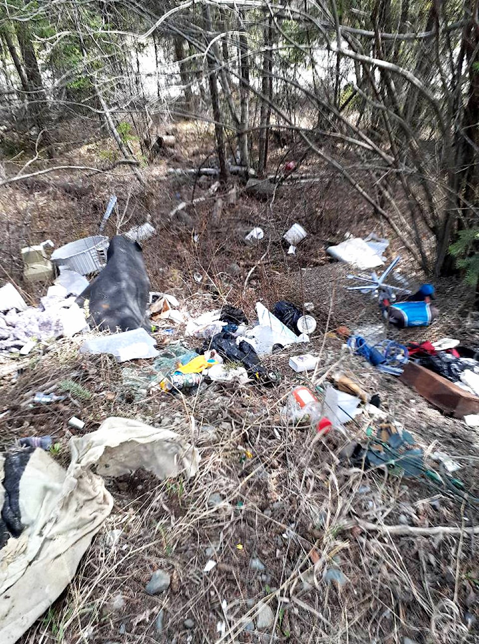 24762672_web1_210408-NTS-Editorial-Illegal-Dumping-Barriere_1