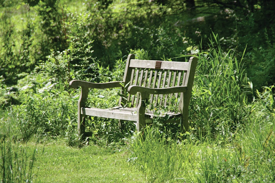 25109866_web1_210513-Reflections-OdeToGramma-Park-Bench_1