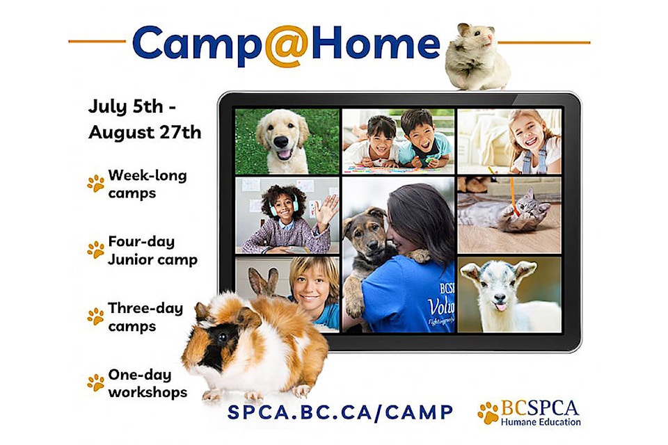 26025093_web1_210805-NTS-SPCACampForKids-SPCA_1