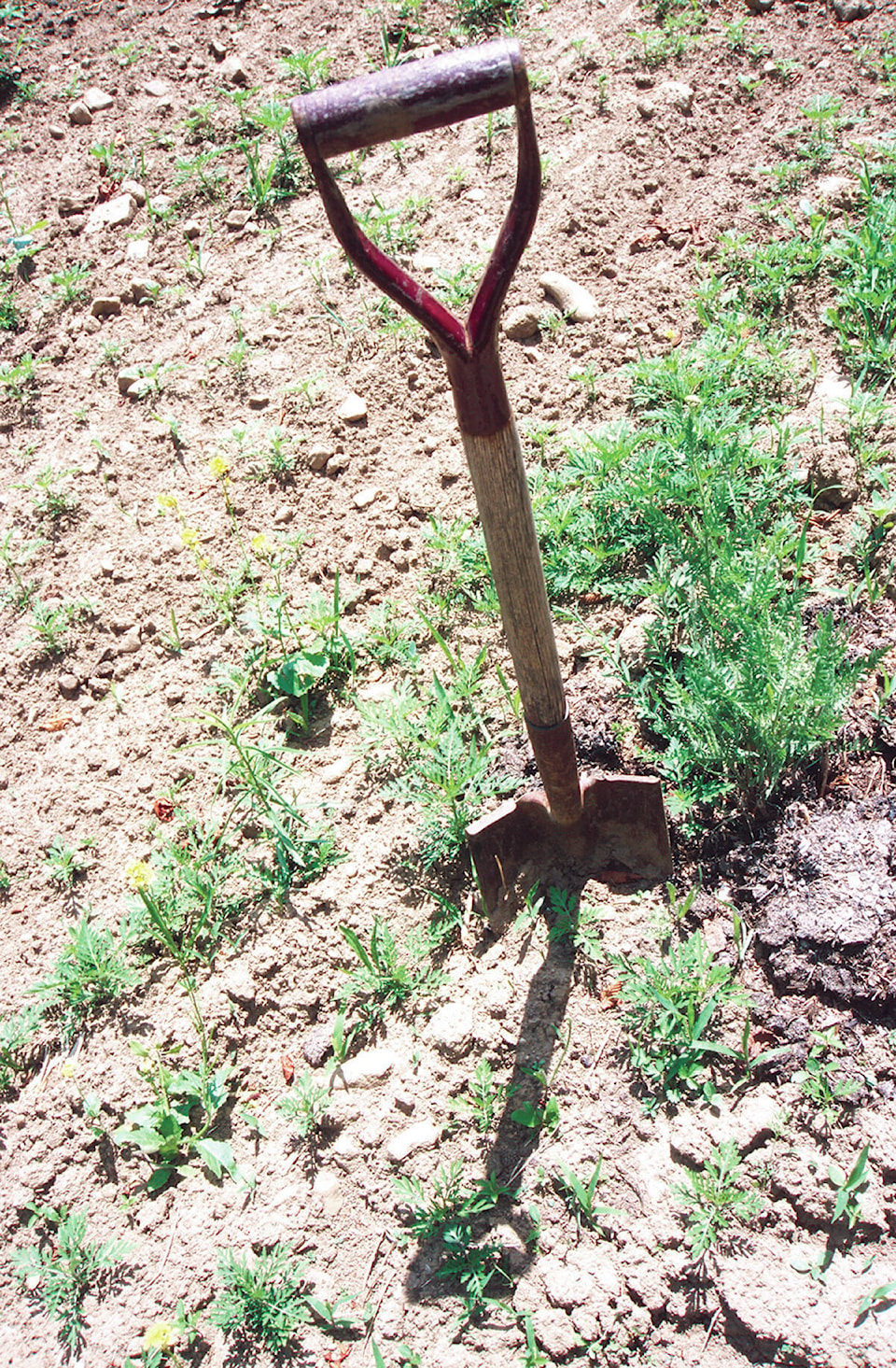 26370620_web1_210909-NTS-BCDrought-stats-Drought_1