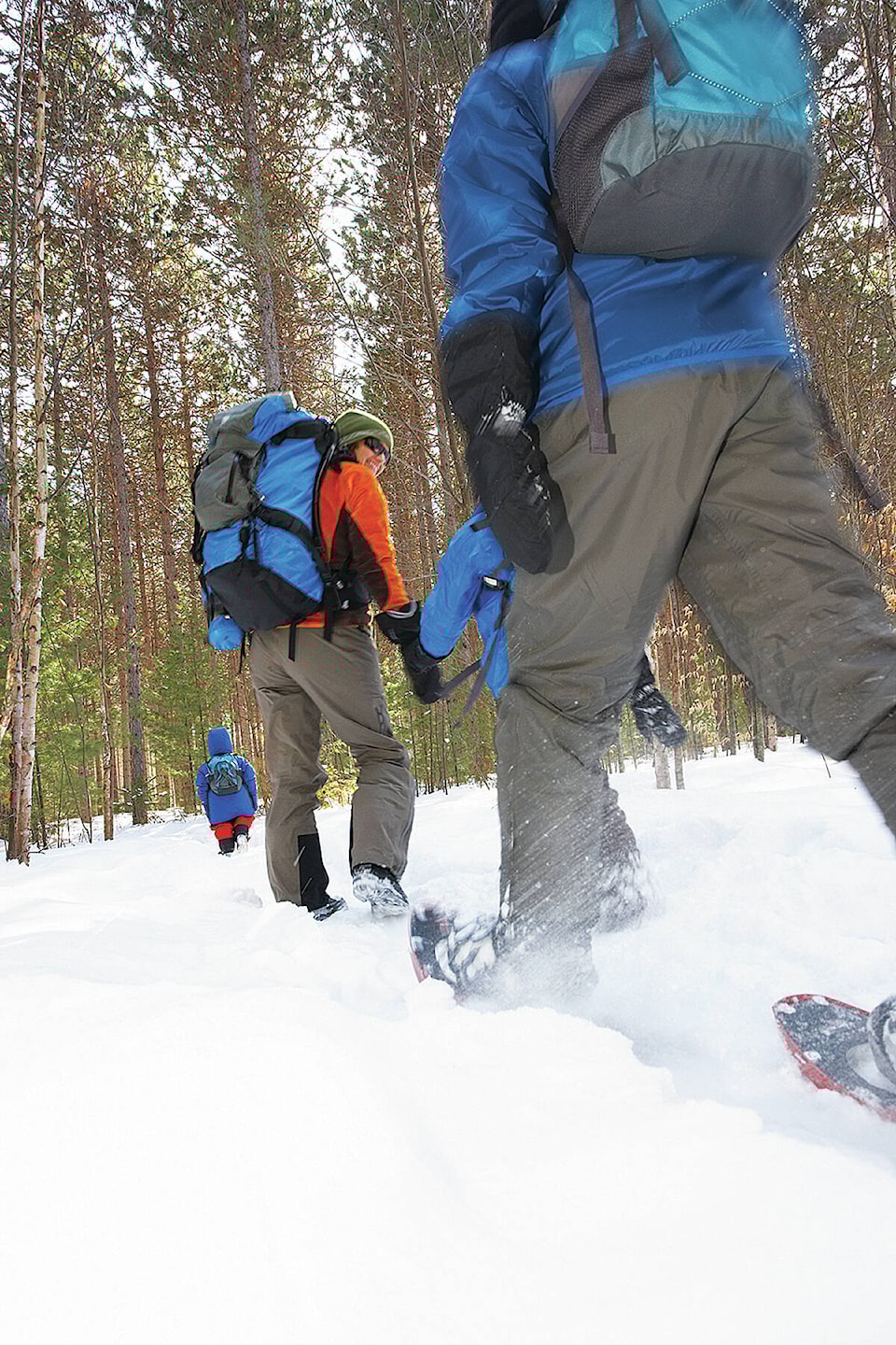26369612_web1_2111216-NTS-SARNoCharge-WintertSports_2