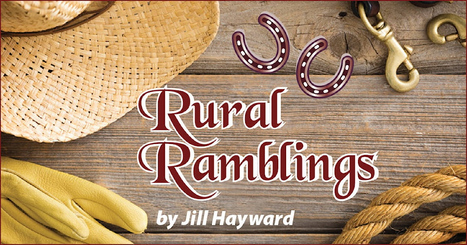 27403243_web1_211209-NTS-RuralRamblings-1-Ranching_1