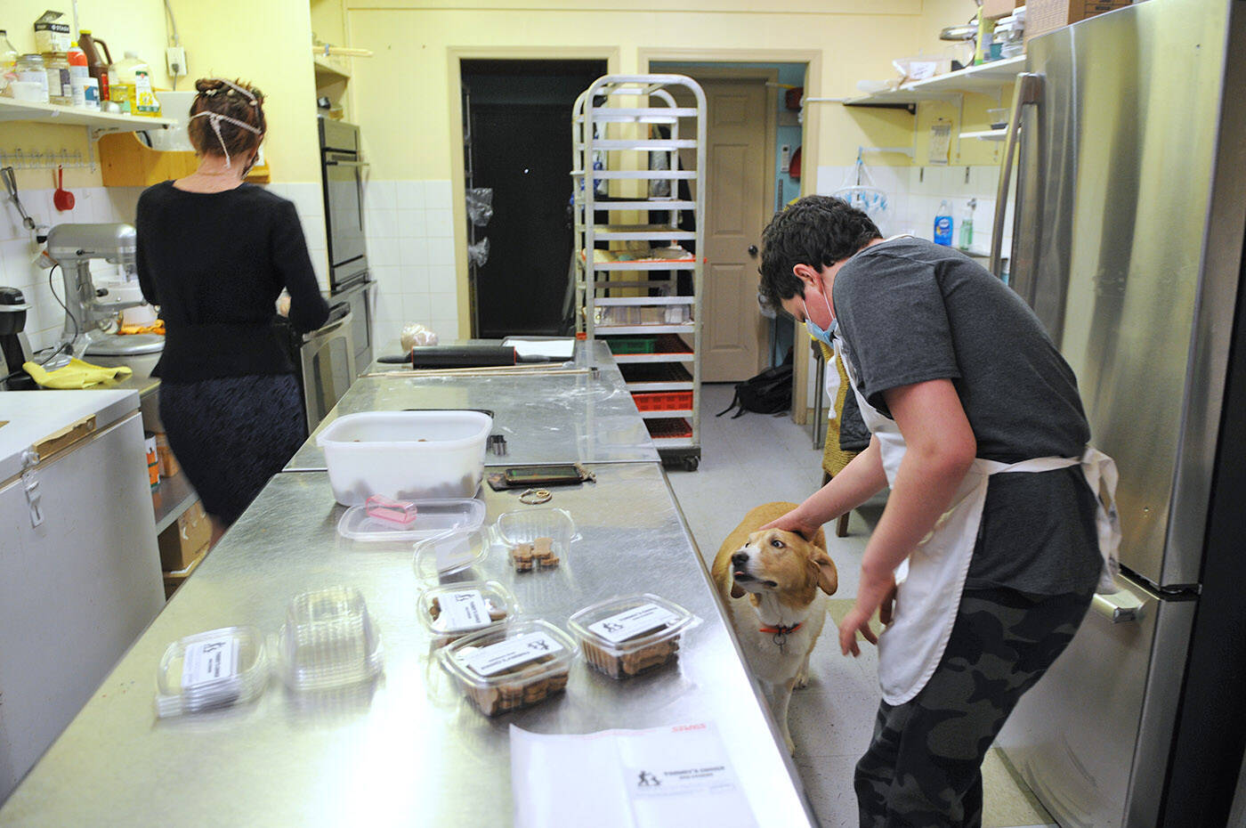 Ryder Newhouse, 14, takes a break to pet Tommy as she eyes dog cookies that will soon be for her during a work experience project at Fergies Doggie Delight Pet Bakery on Friday, Dec. 10, 2021. (Jenna Hauck/ Chilliwack Progress)