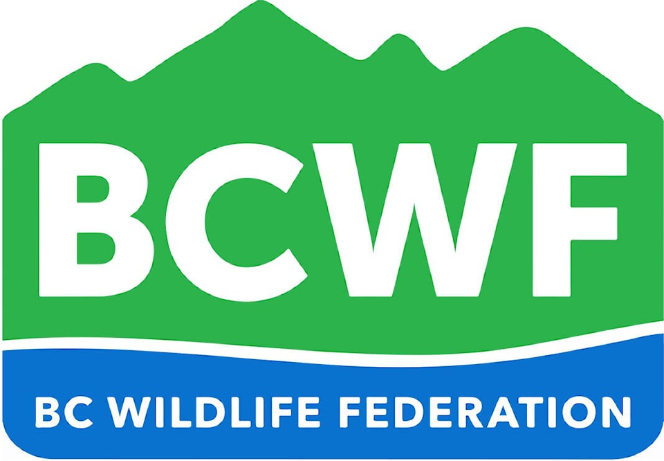 27926866_web1_220127-NTS-BCWildlifeAwardsOpen-BCWFlogo_1