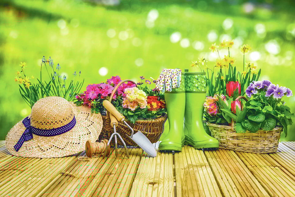 28536072_web1_220331-NTS-Barriere-Blooms-gardening_1