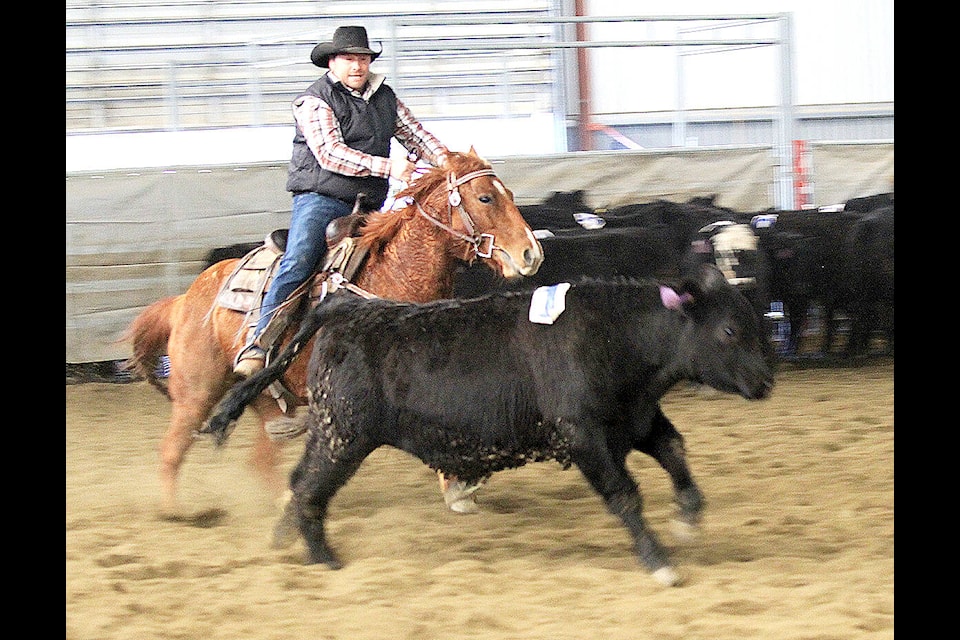 Ryan Conan makes a fast run with a quick horse as he cuts a cow wearing the number ‘1’ out of the herd during the BC Team Cattle Penning Association’s Double Header event held at the North Thompson Agriplex in Barriere, B.C., on Mar. 19-20. The event welcomed 92 competitors, 110 horses, 310 head of cattle, and 500 teams, with a total of $50,000 was paid out to the winners. (Jill Hayward photo)