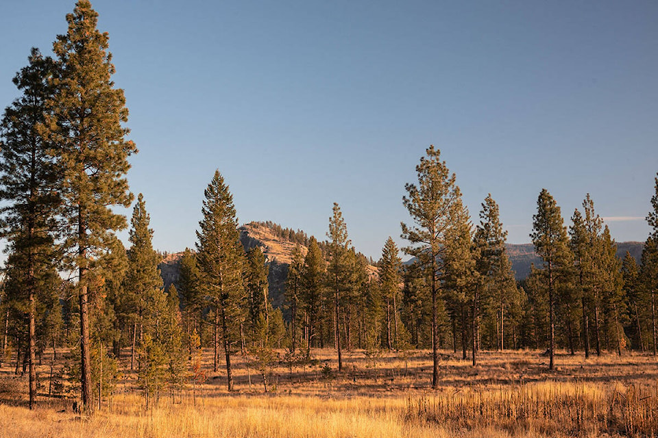 29377745_web1_220607-BPD-Nature-Conservancy-Enviornment-Week-Kootenay-Ranch_1