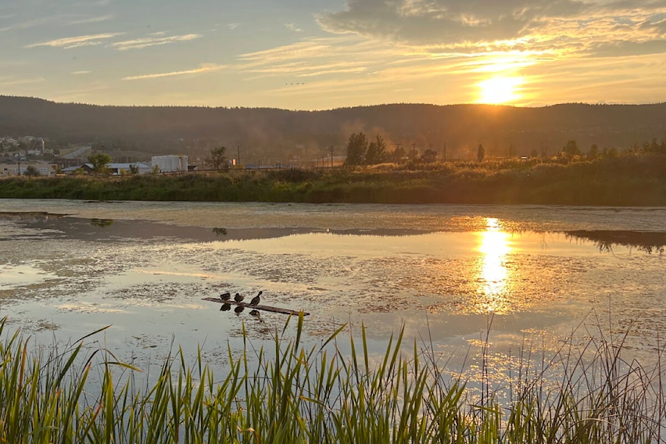 30450319_web1_220922-WLT-avian-flu-cariboo-ducks_1