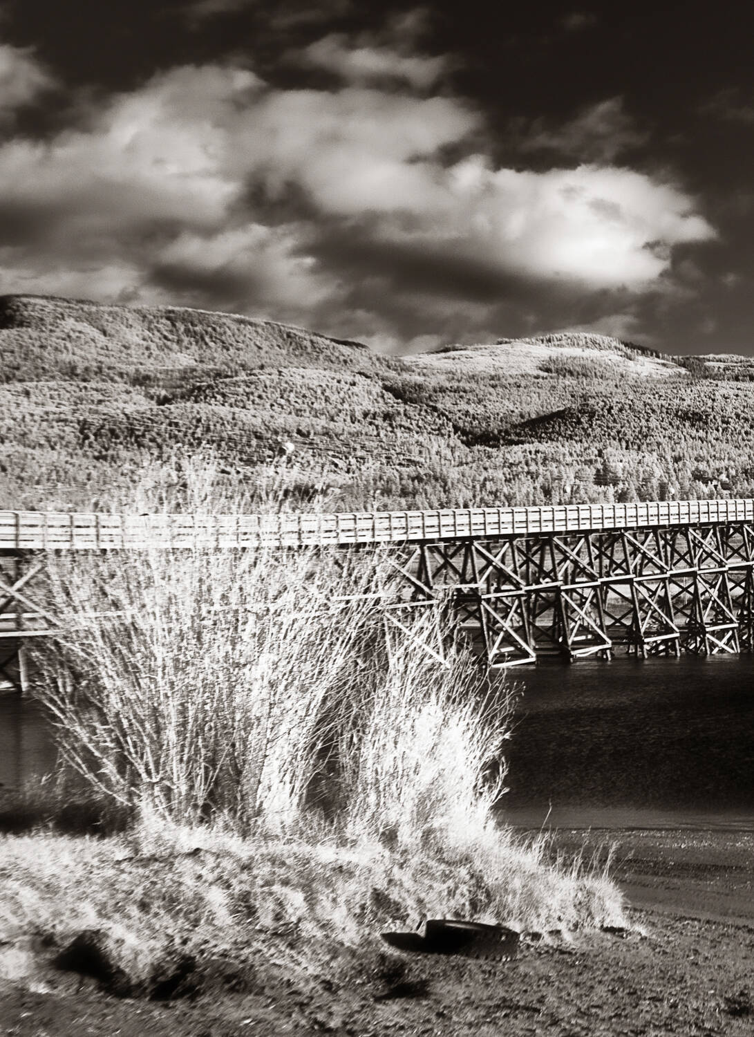 31844707_web1_ENMAN-Pritchard-bridge