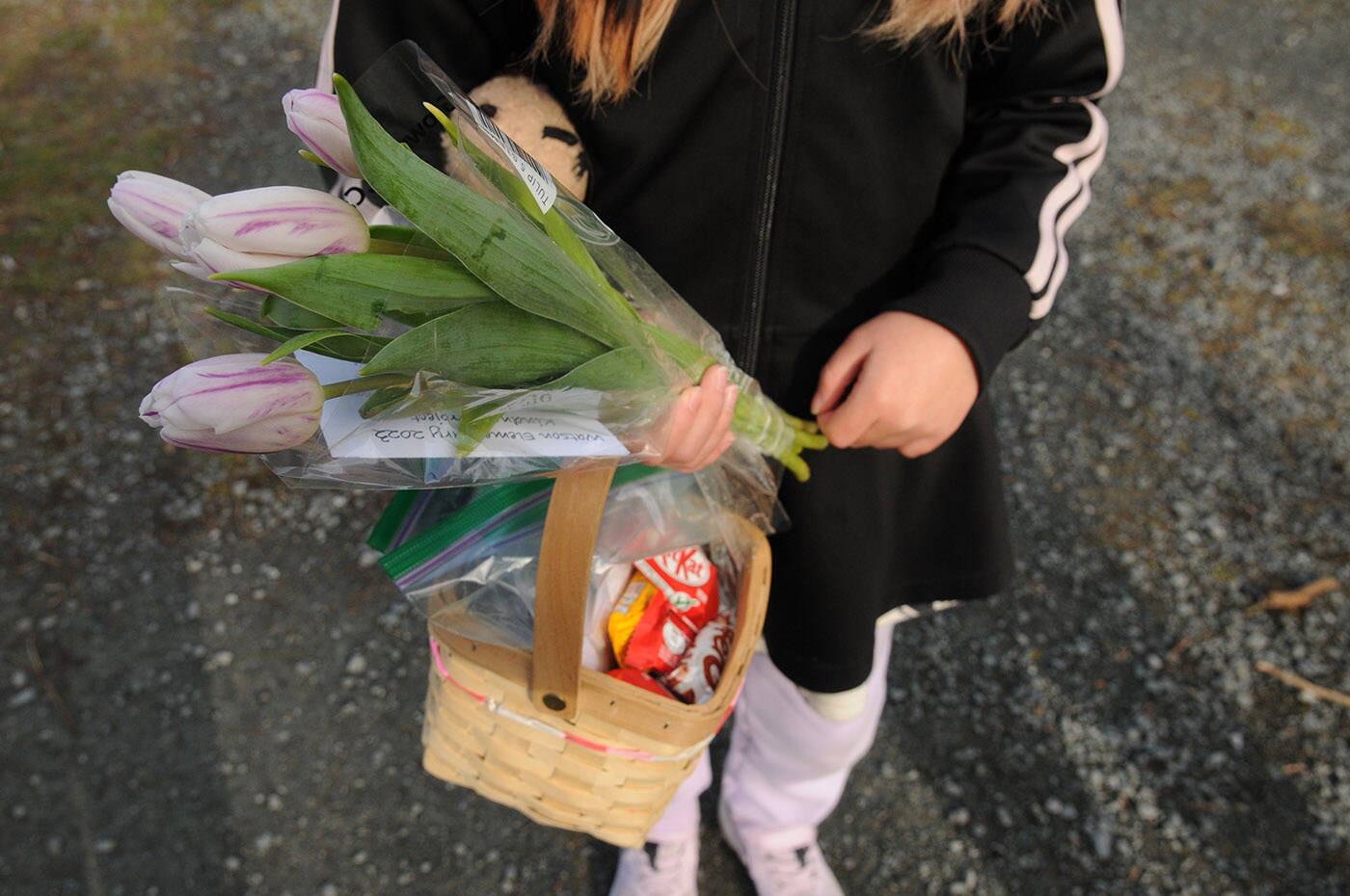 One student brought her own basket to carry goodies for Watson Elementarys Kindness Project on Wednesday, March 15, 2023. (Jenna Hauck/ Chilliwack Progress)