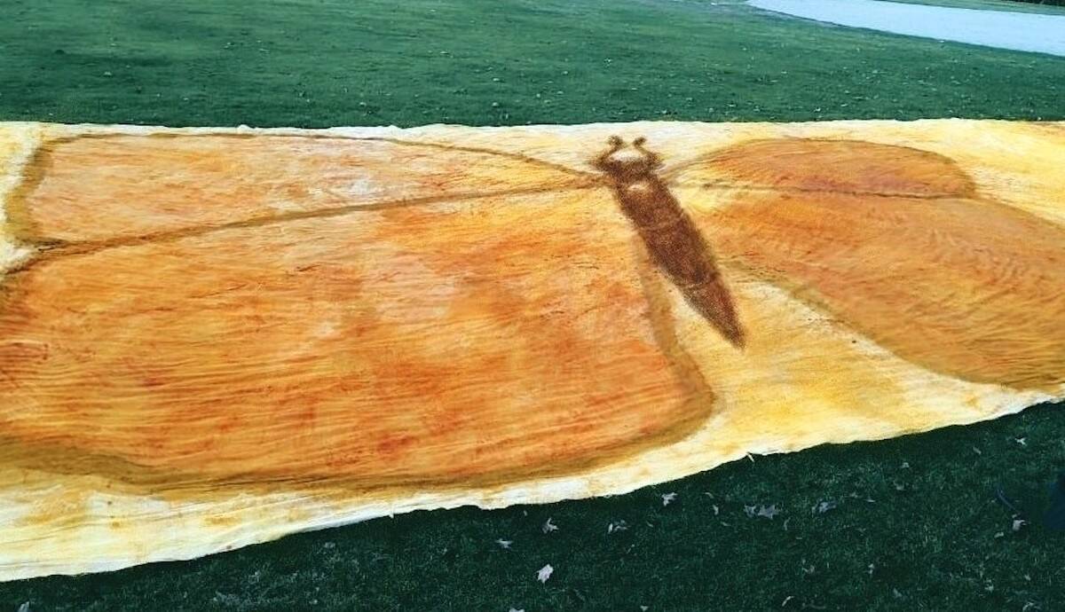 A butterfly is depicted in Preethi Vijays record-setting spice painting. (Submitted photo)