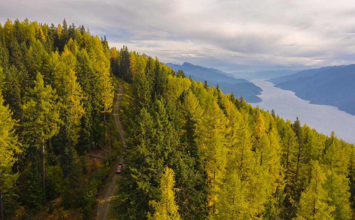 The Argenta-Johnsons Landing Face is a mountainside located on the east shore of Kootenay Lake surrounded on three sides by the Purcell Wilderness Conservancy. Photo: Wilderness Committee