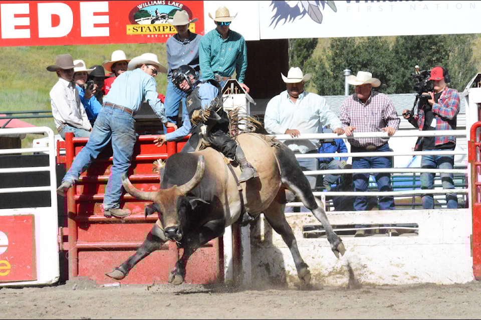 Jett Lambert from Grand Prairie, Alta rides RB A33 Swagalicious Saturday, July 1 at the Williams Lake Stamped earning 80.5 points. (Monica Lamb-Yorski photo - Williams Lake Tribune)