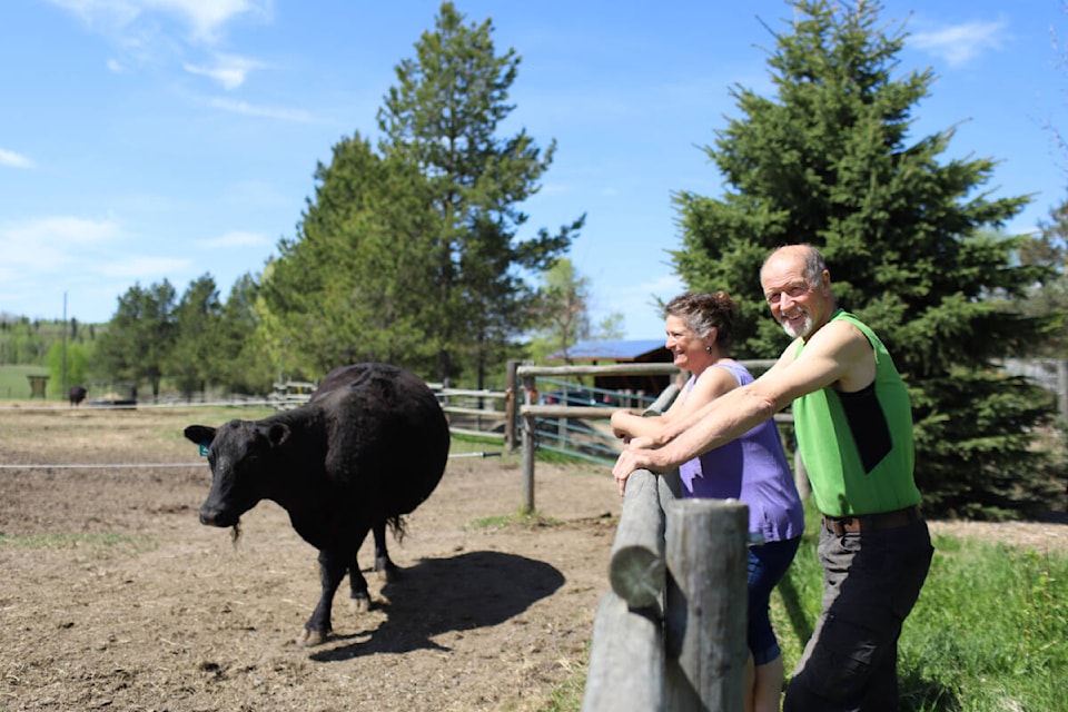 Franz and Silvia Laffer, the owners of Sunshine Ranch (Kim Kimberlin Photo/Black Press)