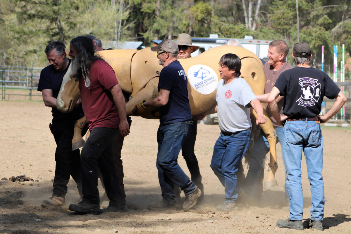 33378340_web1_RSZ-Calamity-Push-n-Pull--this-one-1a_sized