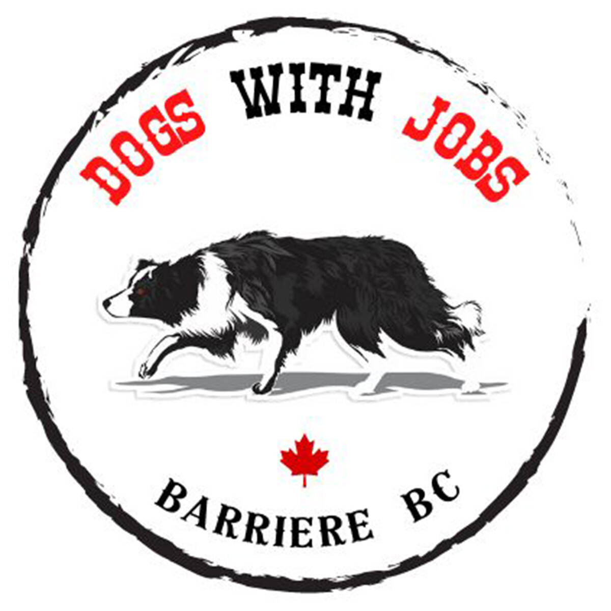 33426820_web1_221117-NTS-Letter-BrendaWilsonDogsWithJobs-DWJlogo_1