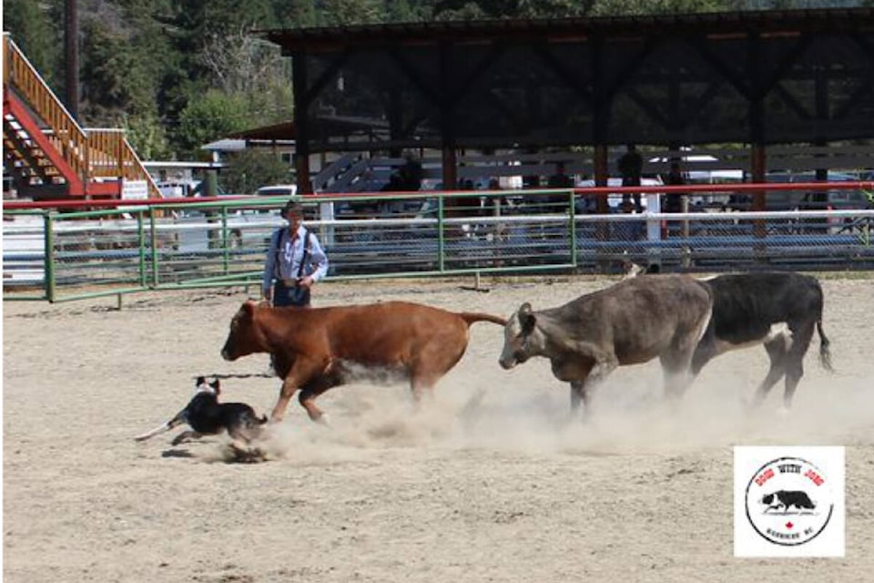 33450418_web1_RSZ-Cattle-herding-363840499_262436326532633_50684910920099159_n
