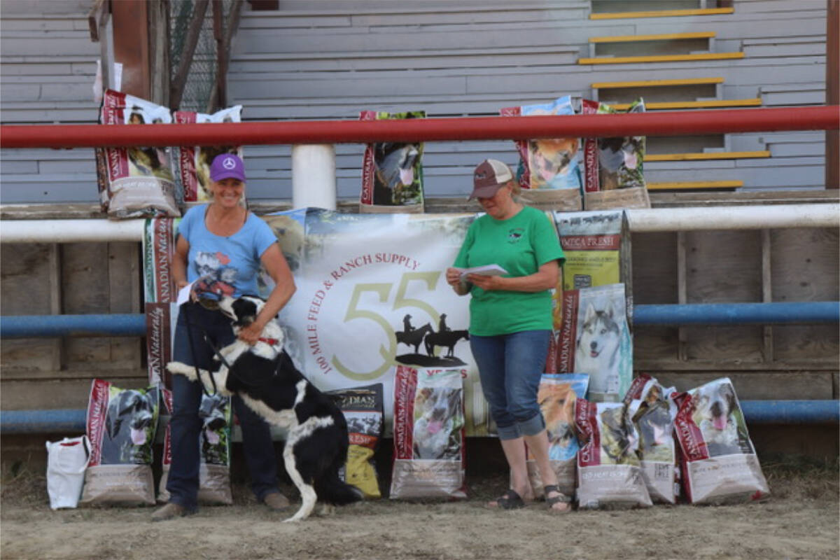 33517323_web1_RSZ-L-Hall--Winner-Dogs-IMG_3758