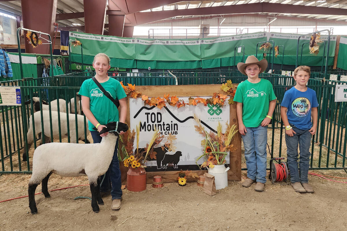 33782729_web1_RSZ-4-H-Kids-20230902_144147