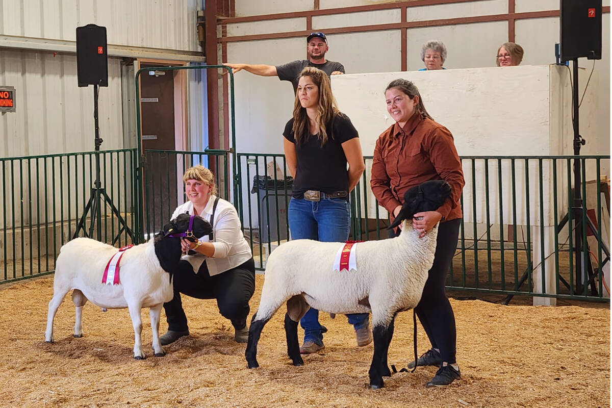 33782729_web1_RSZ-Winning-Ram-Sheep-20230902_143849