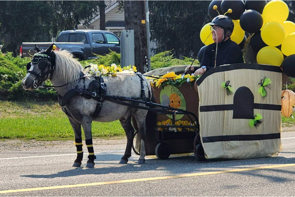 33797883_web1_RSZ-Parade-Mini-horse-and-Bee-HB-20230902_112011
