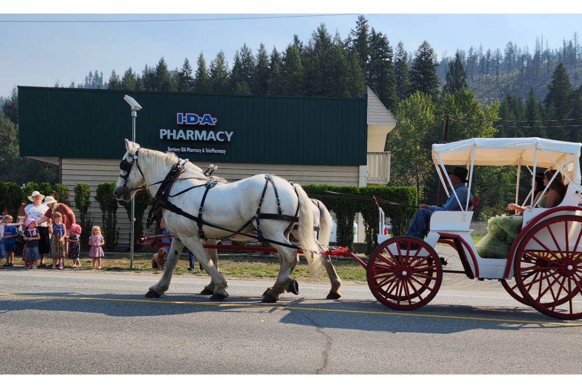 33797883_web1_RSZ-Parade-WHITE-HORSES-buggy-HB-20230902_111914