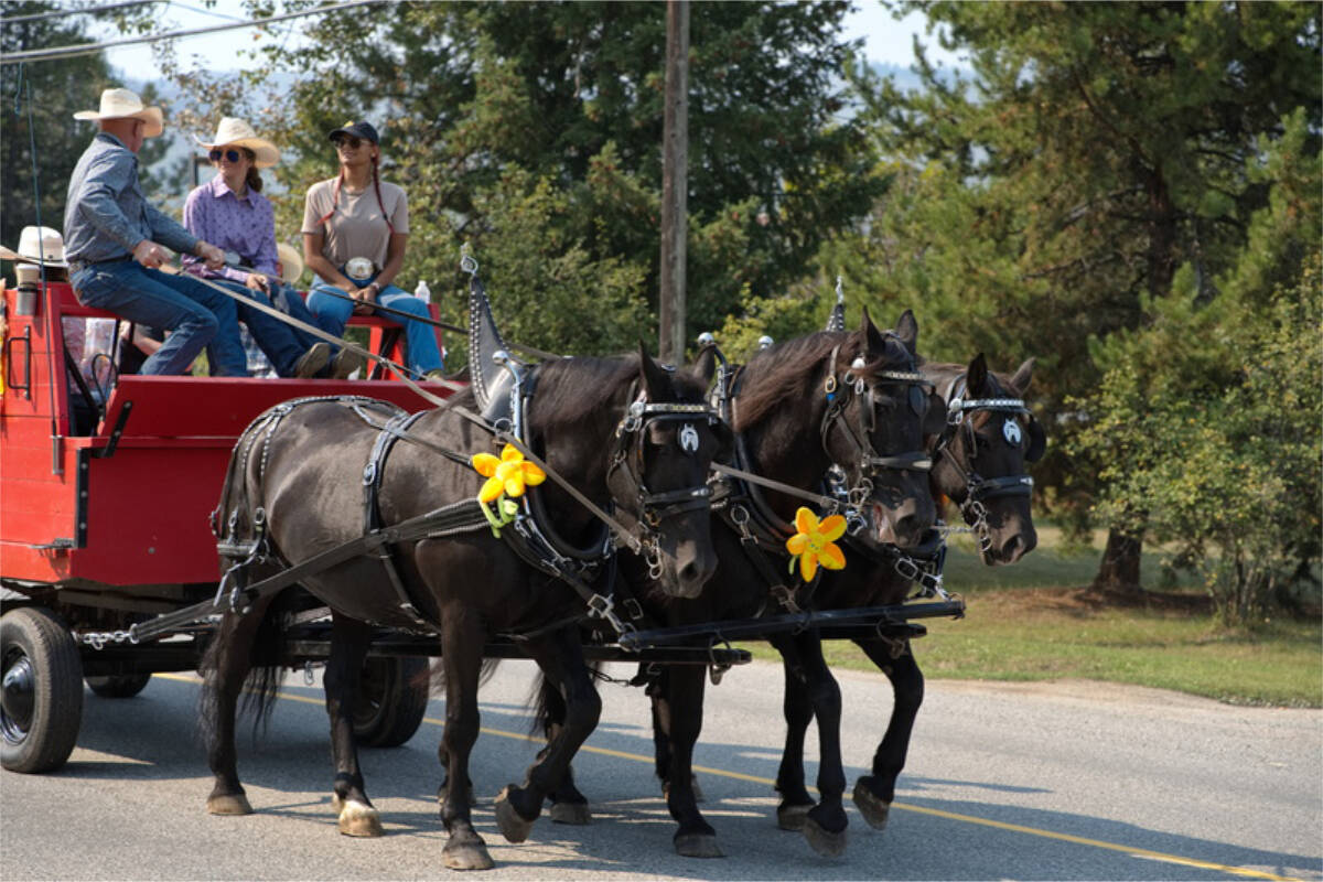 33797883_web1_RSZ-parade-GM-Dark-brown-horese-wagon-decorated-Gary-M-GPM01115