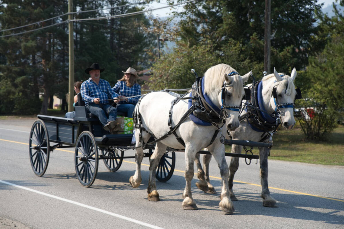 33797883_web1_RSZ-parade-Gary-M-Heavy-Horses-1-GPM01122