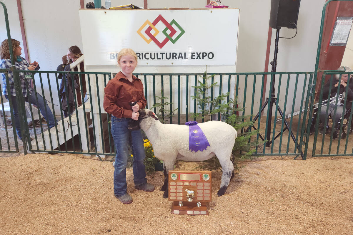 34000102_web1_RSZ-242-Winner-Market-Lamb-242-Yellowhead-4-H-20230924_135826