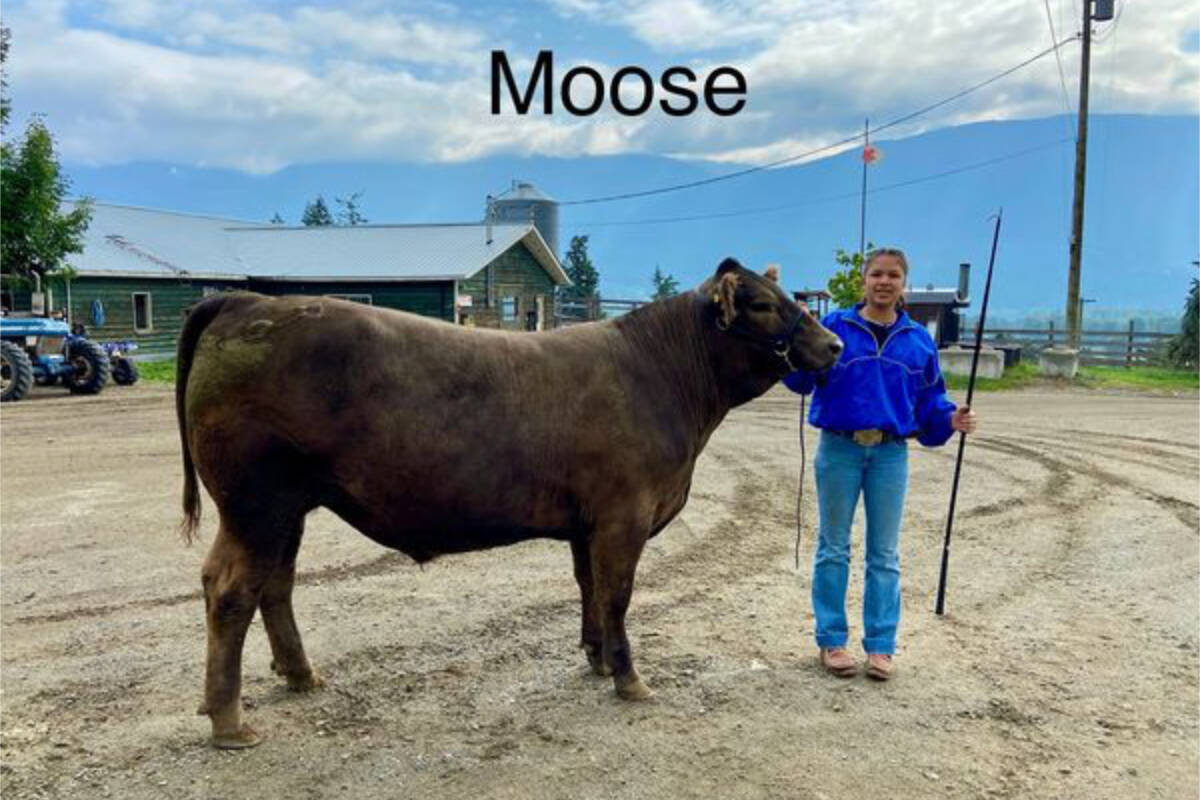 34000102_web1_RSZ-Moose-Joy-Rainer-375912164_122107505612030101_7998442841085449431_n