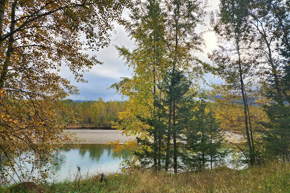 34073957_web1_RSZ-Fall-photo-NTV-20231003_091844