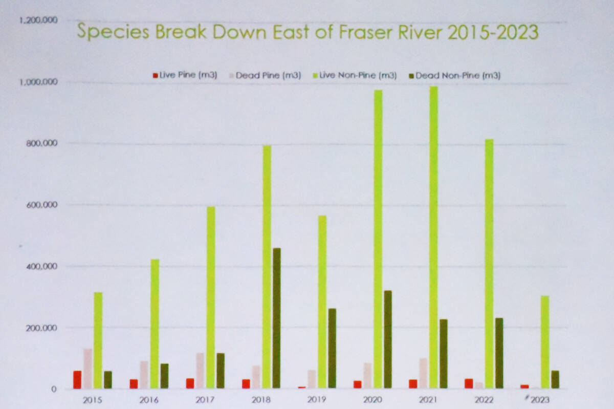 34242104_web1_231019-WLT-Horsefly-logging-update-forests_10