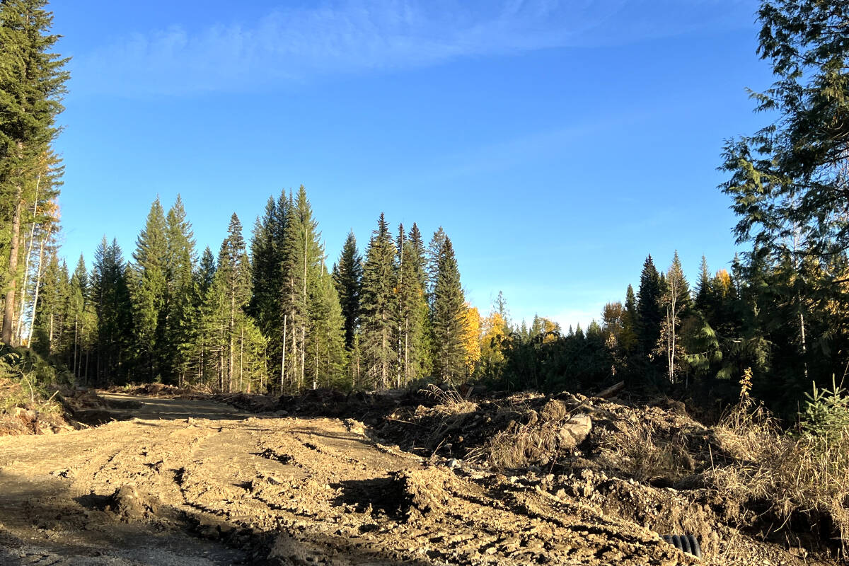 34242104_web1_231019-WLT-Horsefly-logging-update-forests_11