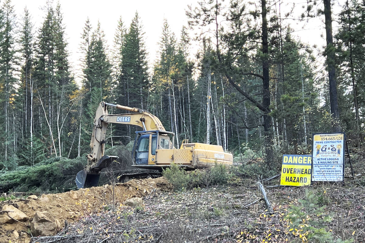 34242104_web1_231019-WLT-Horsefly-logging-update-forests_8