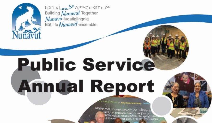 public service annual report