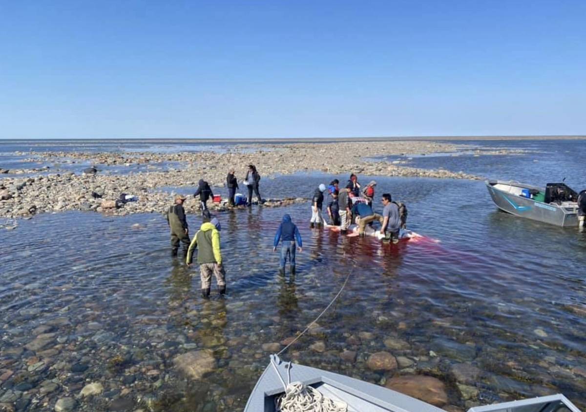 26160680_web1_210818-kiv-hunters-arviat_2